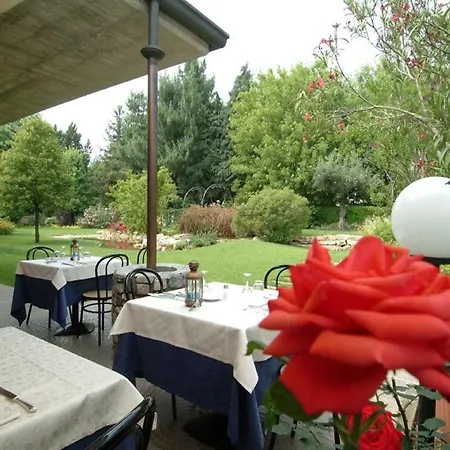 Il Leone D'oro Hotell