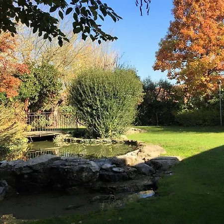 Il Leone D'oro Telgate