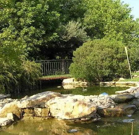 Hotell Il Leone D'oro