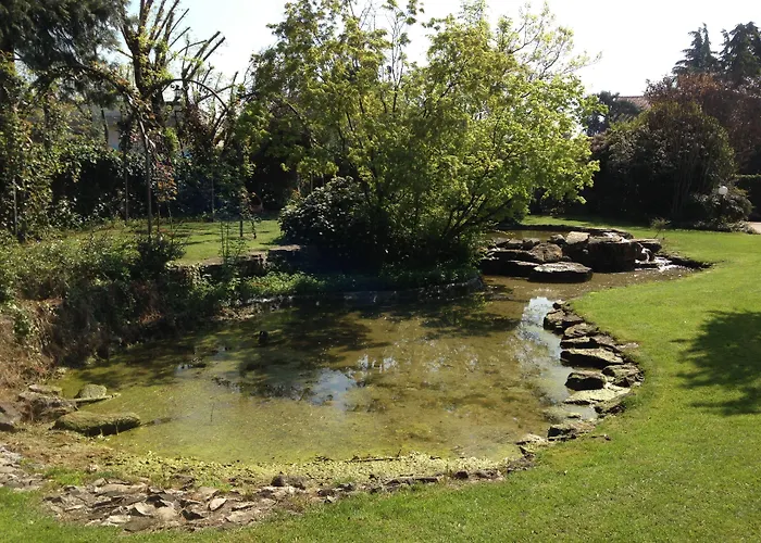 Il Leone D'oro Hotel