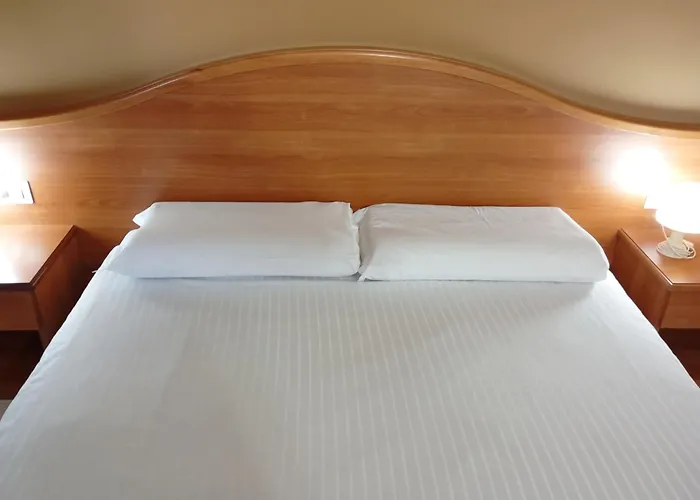 Hotel Il Leone D'oro 3*