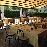 Il Leone D'oro
