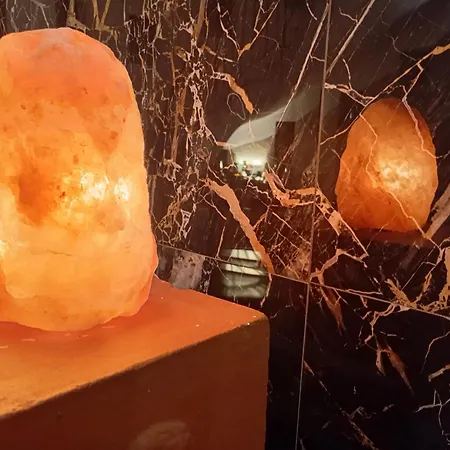 Il Leone D'oro Hotell